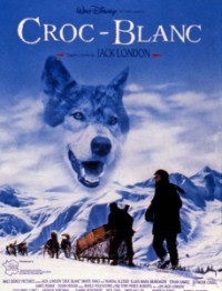 Image of croc - blanc