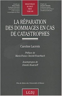 La réparation des dommages en cas de catastrophes