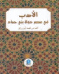 الأدب في عصر دولة بني حماد