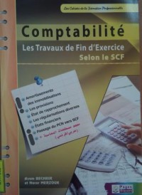 Image of Comptabilité : les travaux de fin d'exercice selon le nouveau SCF